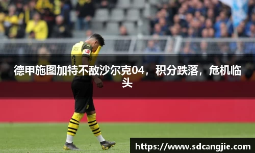 智博19