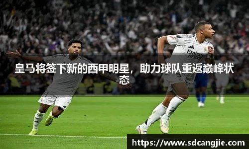 智博19