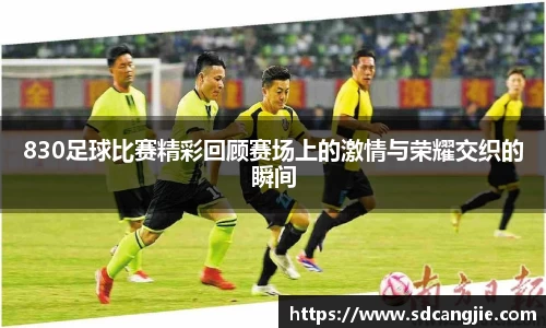 830足球比赛精彩回顾赛场上的激情与荣耀交织的瞬间