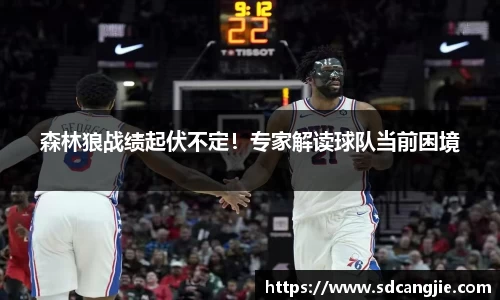 森林狼战绩起伏不定！专家解读球队当前困境