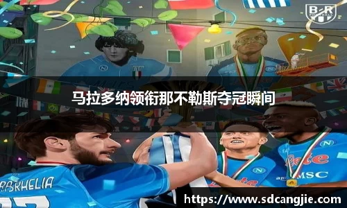 智博19