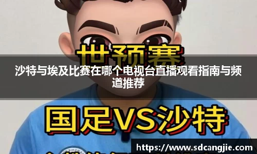 沙特与埃及比赛在哪个电视台直播观看指南与频道推荐