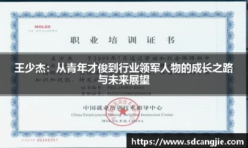 智博19