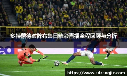 智博19
