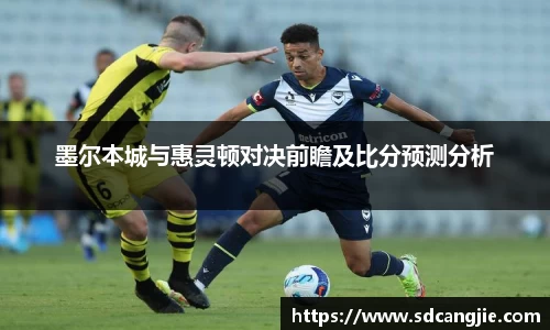 墨尔本城与惠灵顿对决前瞻及比分预测分析