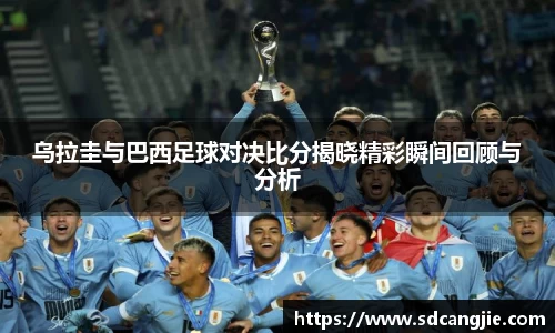 智博19有限公司