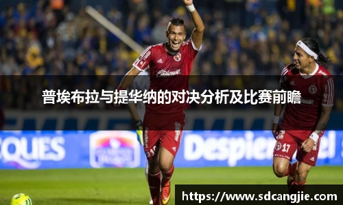 智博19有限公司