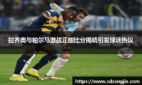 智博19有限公司