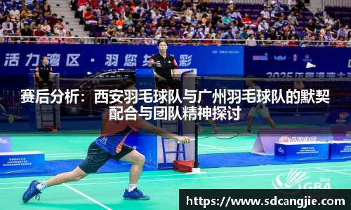 智博19有限公司