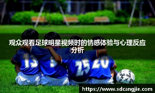 智博19有限公司