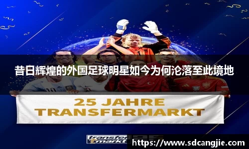 智博19有限公司